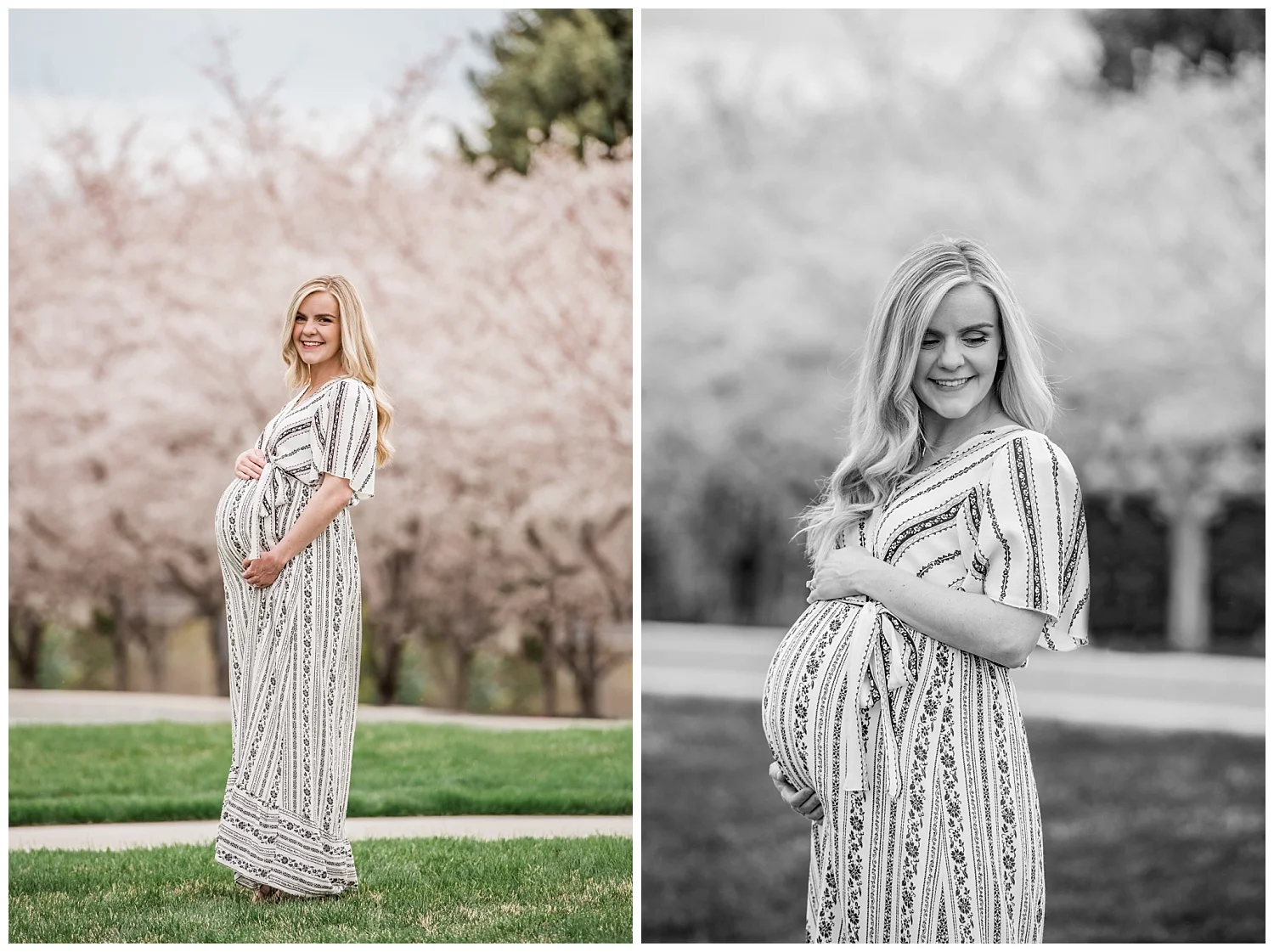 Dan Page Photography, Utah State Capitol Maternity Session, Spring Cherry Blossoms (5).jpg
