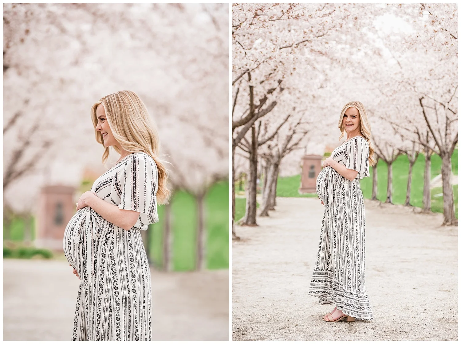Dan Page Photography, Utah State Capitol Maternity Session, Spring Cherry Blossoms (15).jpg