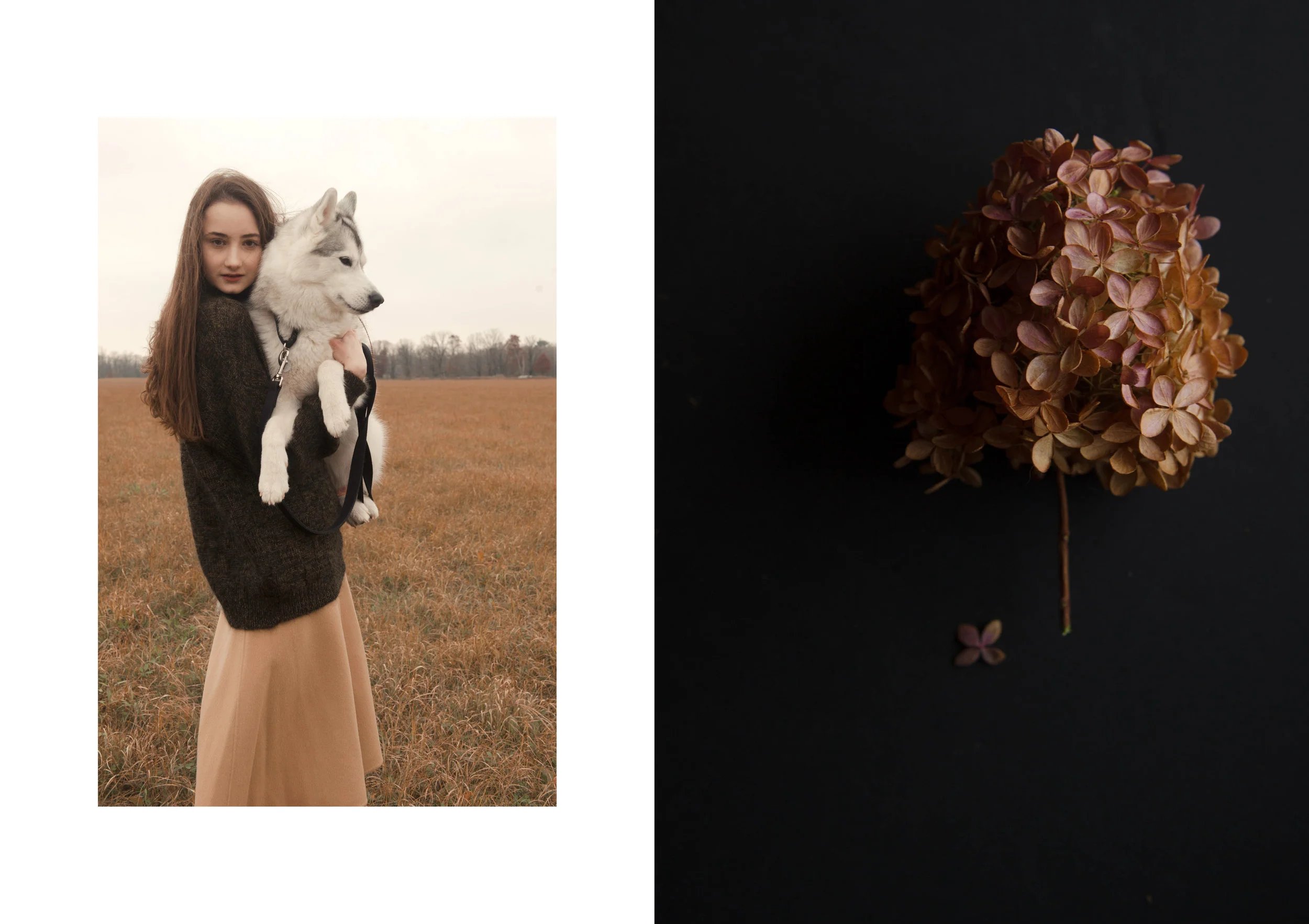 ASHLEY CAMPER_ TINY ATLAS QUARTERLY _ LIZ GARDNER.jpg