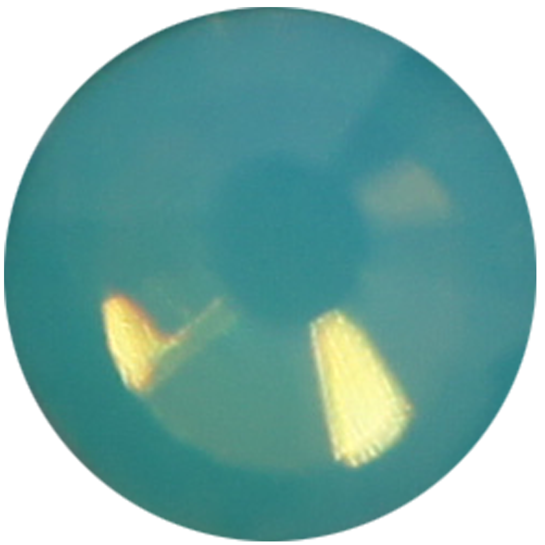 Green Opal_single.png