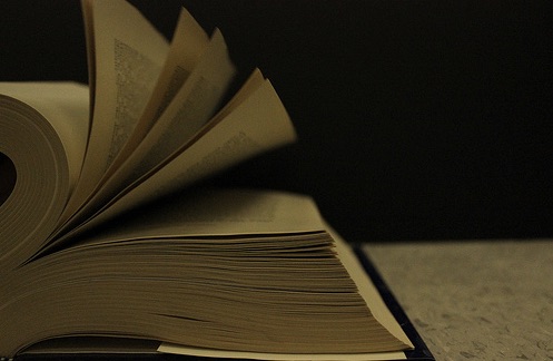 flipping pages jpeg.jpg