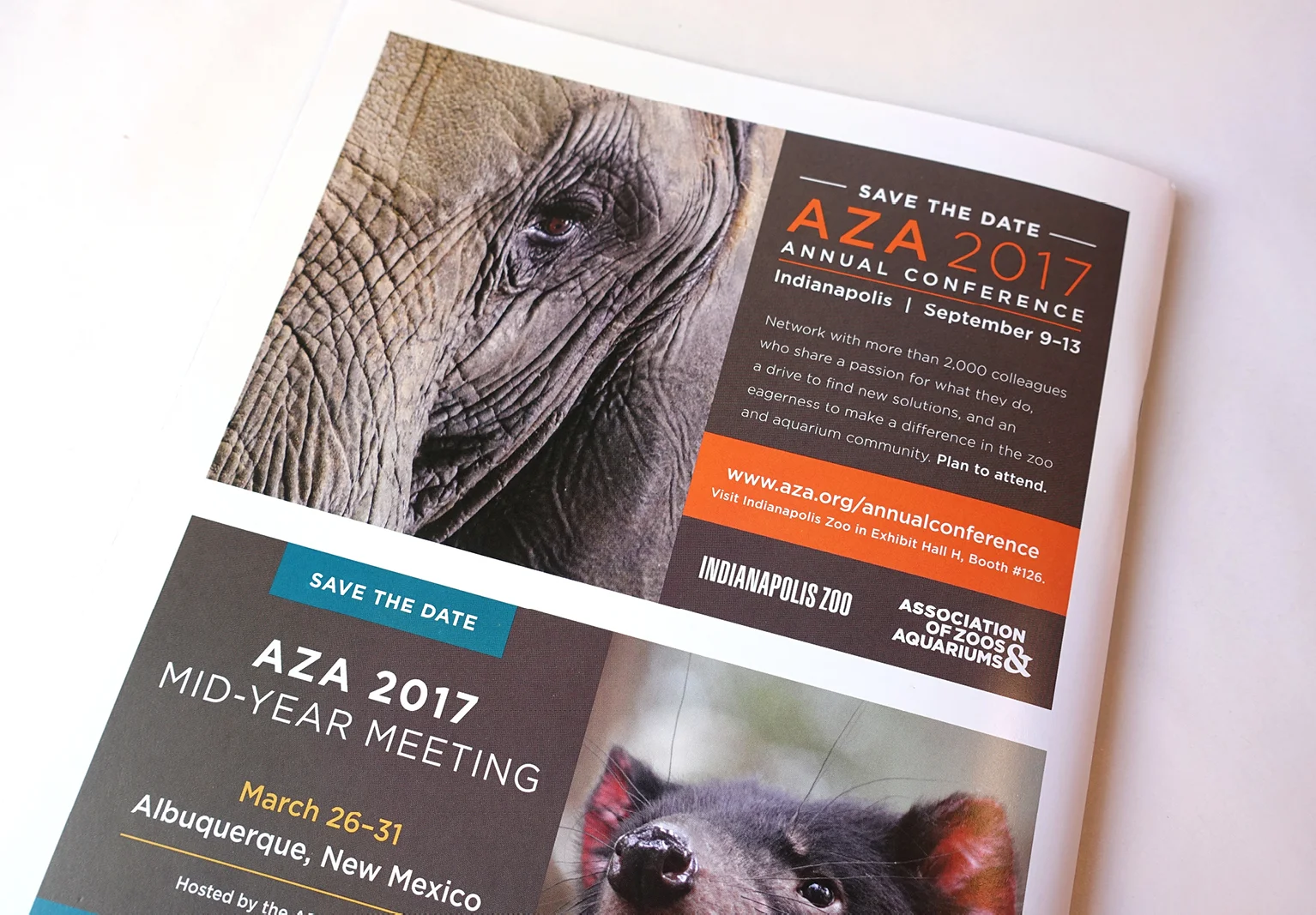 AZA_2016AC_Image_9.jpg