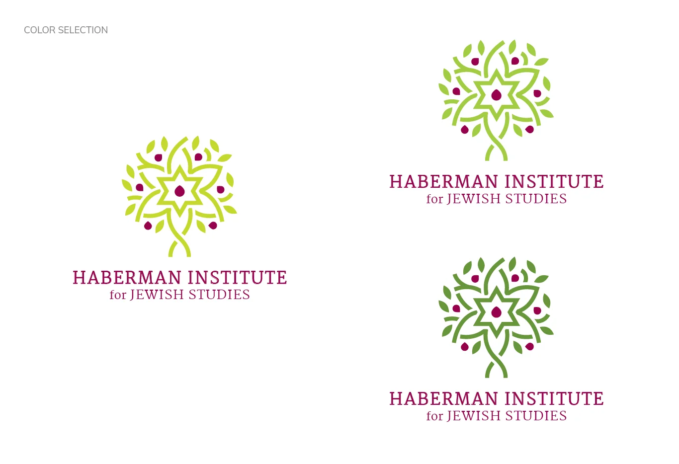 Haberman_Identity_4.jpg