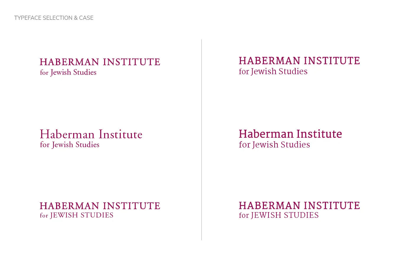 Haberman_Identity_5.jpg