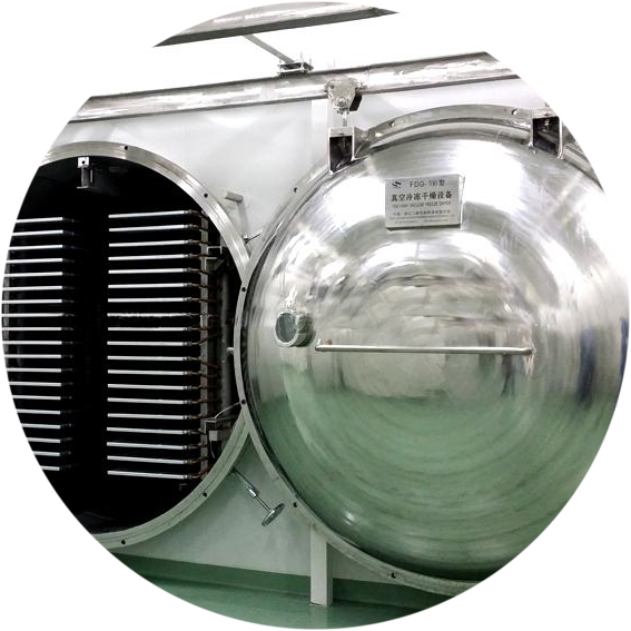 Vacuum Freeze Dryer