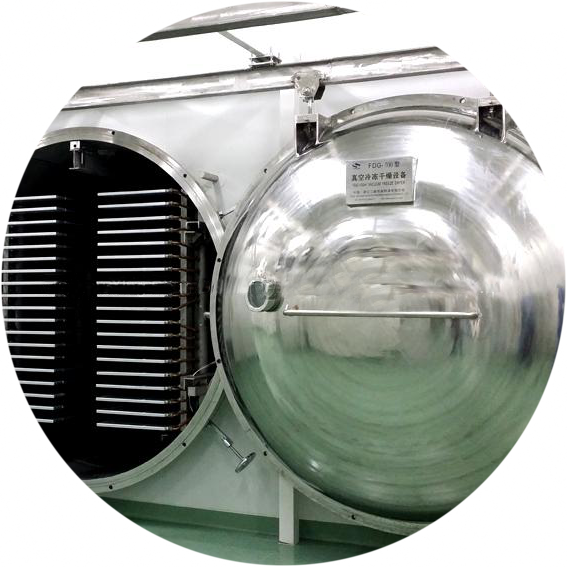 Vacuum Freeze Dryer