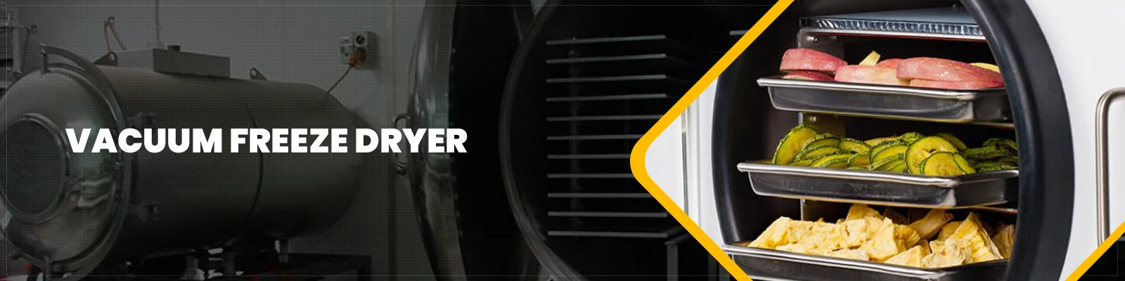 vacuum-freeze-dryer.jpg.JPG