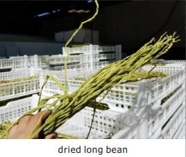 dried-long-bean.JPG