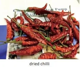 dried-chili.JPG