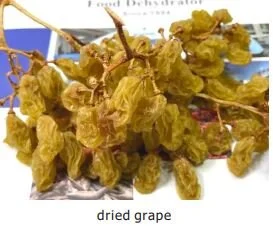 dried-grape.JPG