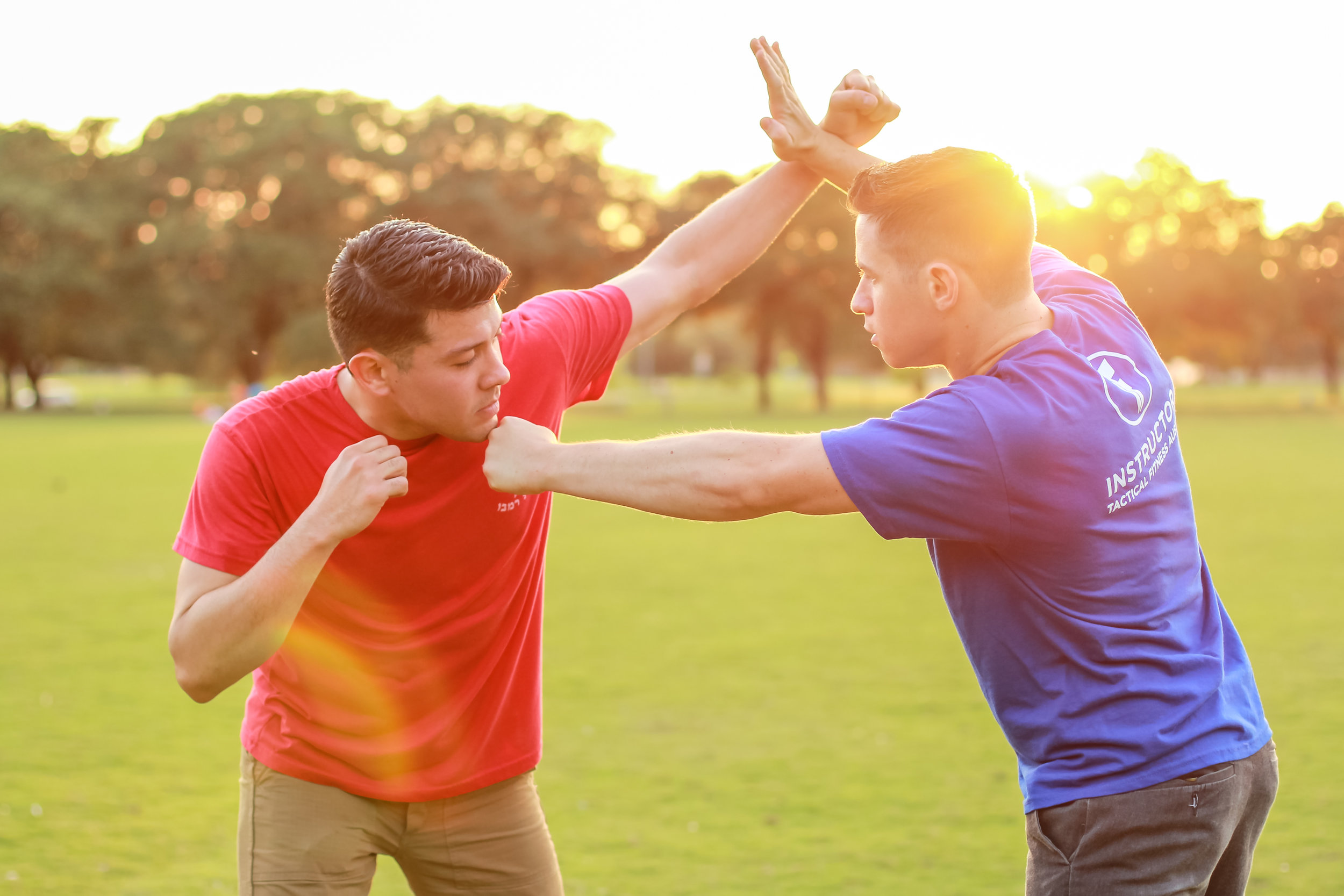 Is target is in front of you and you can see it clearly? would you choose the fist or the palm?