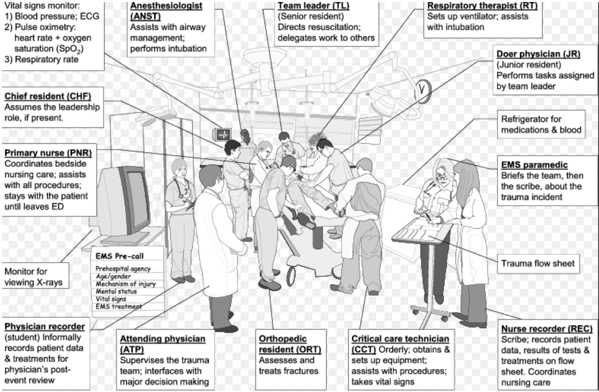 Figure 3 Some of the roles of healthcare team