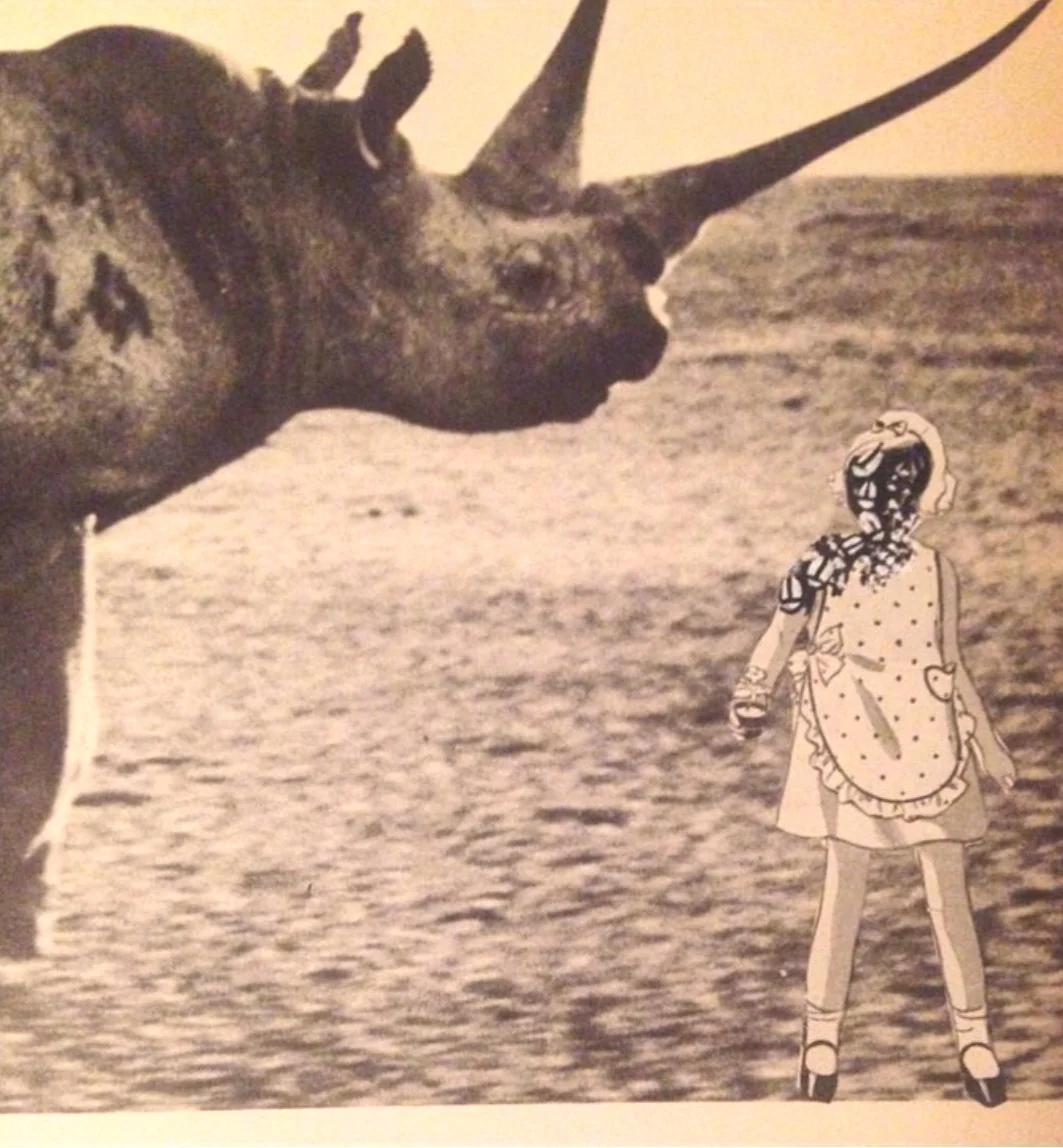 Girl with rhino. 