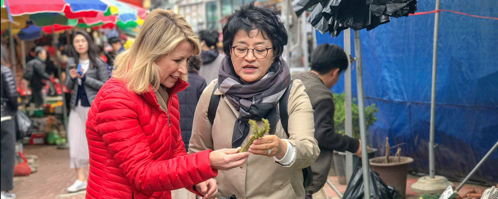 samantha_brown_janetscookingstudio_seoultour.gif