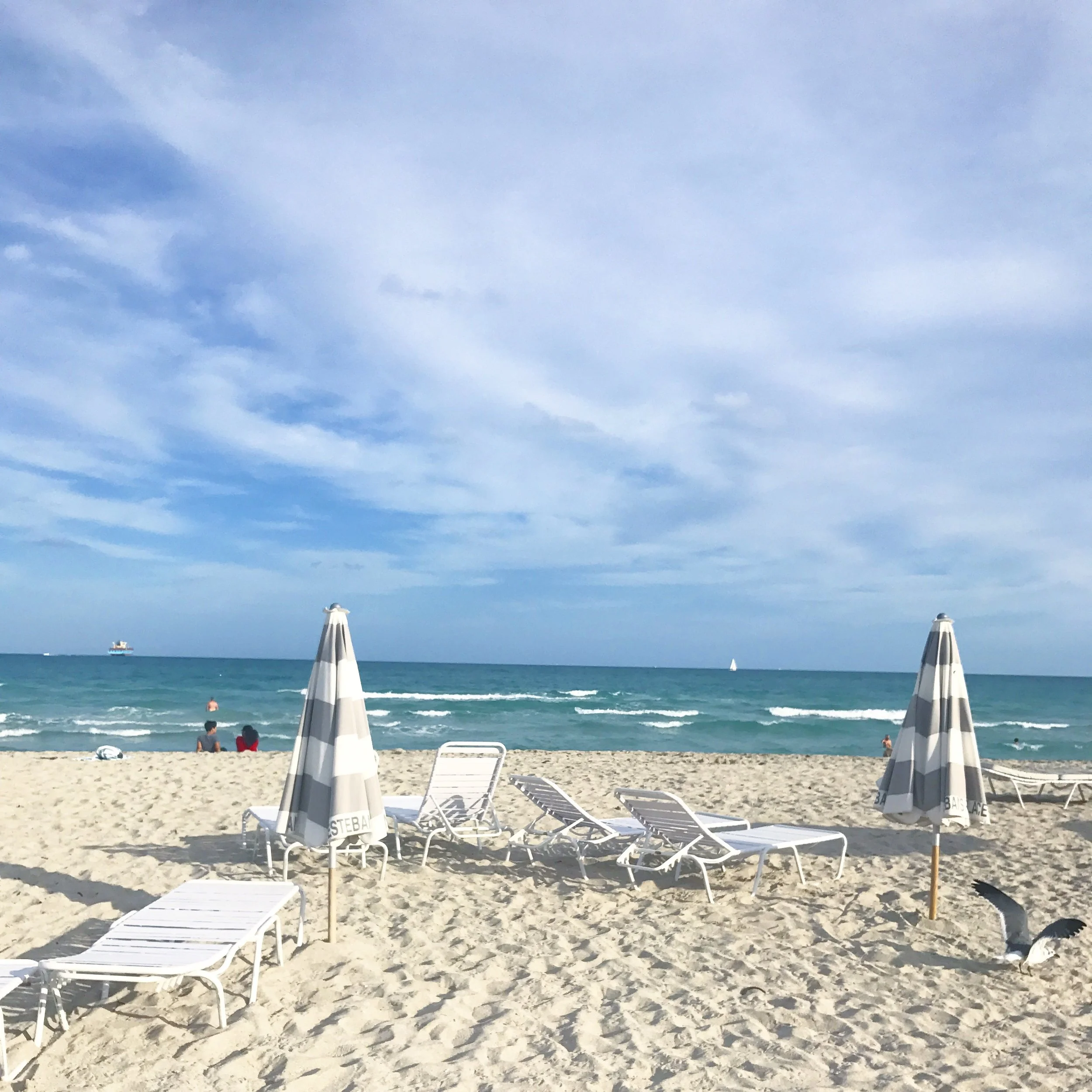 NEW YEAR / BIRTHDAY CELEBRATION, ME / SISTER TIME AND REINVENTING BONITO'S Goals. A good mix in this sunny trip! As much as I would have liked the days to be Rose all Day or Beach all Day, I think my phrase was Work All Day instead. Truthfully I needed a get away to focus on them goals. Super thankful for this trip and the time I had to reinvent ideas and ability to meditate with a mix of fun. Still brewing though... I will be blogging more about the bday celebrations with some pretty photos of course. XO Helen