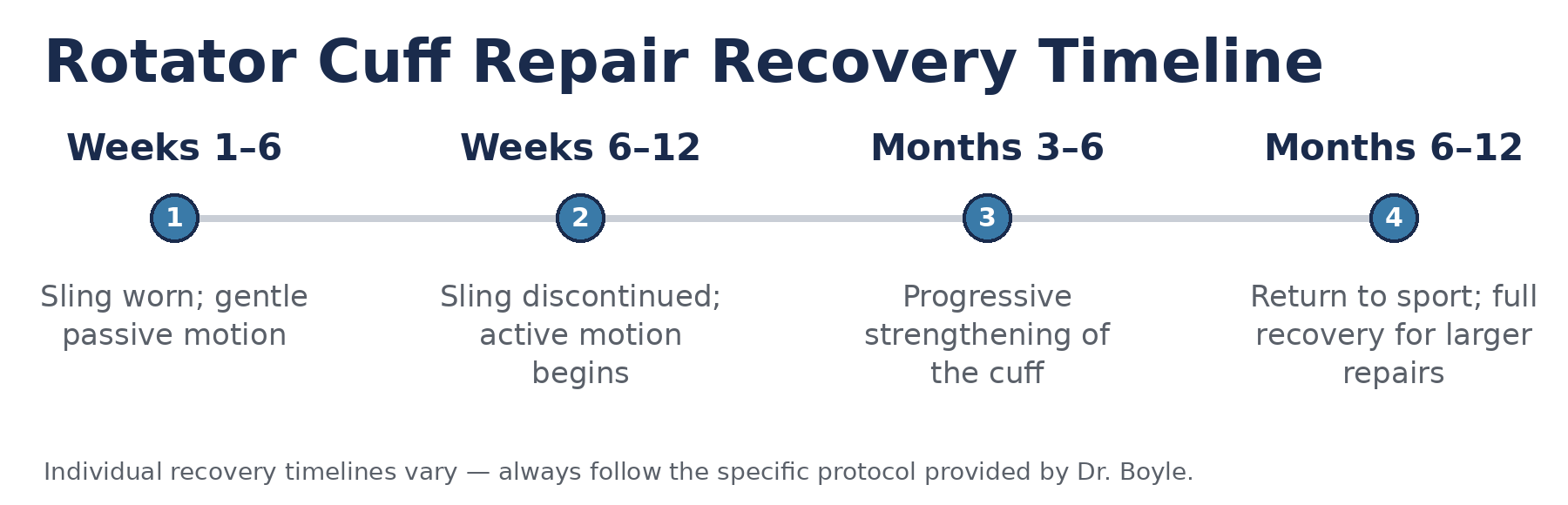 Timeline showing recovery stages after rotator cuff repair, from sling immobilisation through return to sport