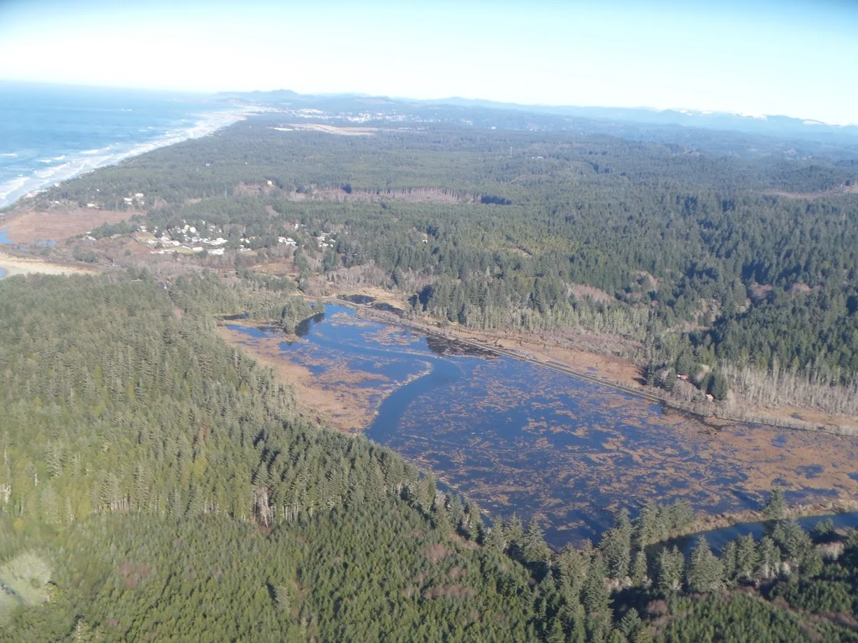 Beaver Creek High Tide.jpg