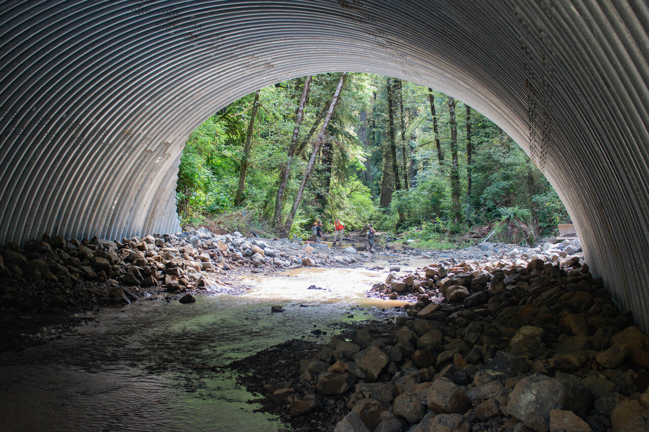 View of the new 50 ft wide, 15 ft high culvert from inside.