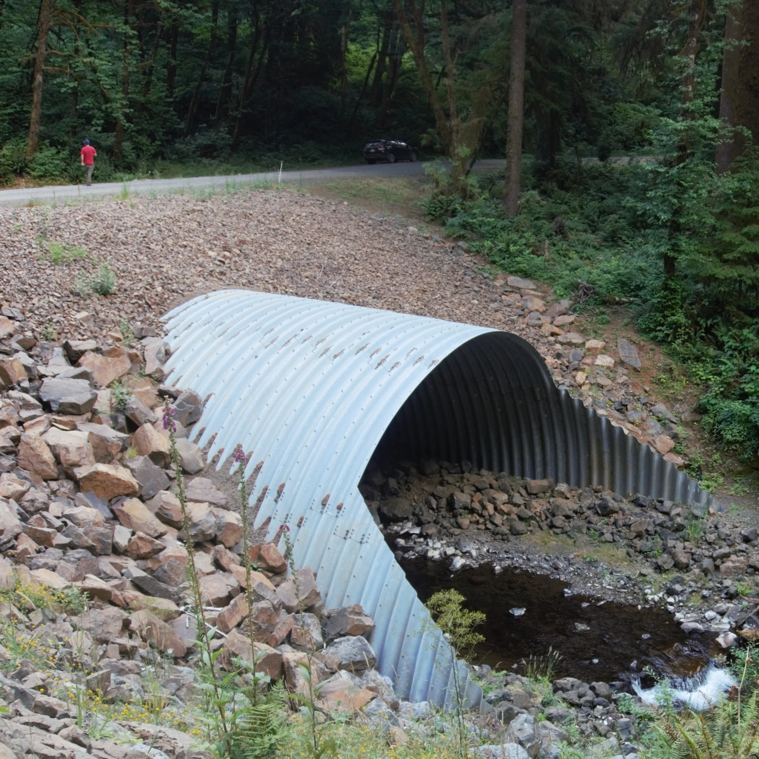Culvert Pool Culvert issues — MidCoast Watersheds Council