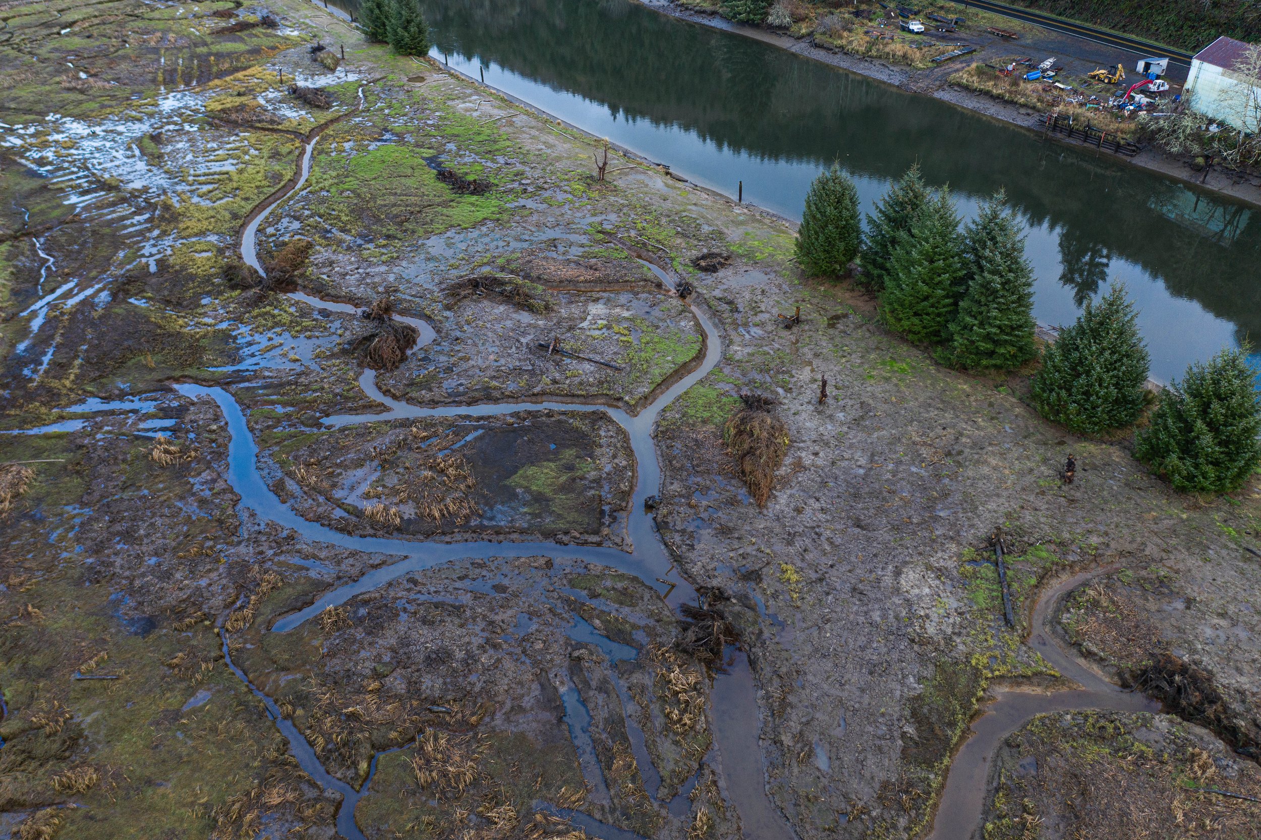 Yaquina Estuary (Y27) — MidCoast Watersheds Council