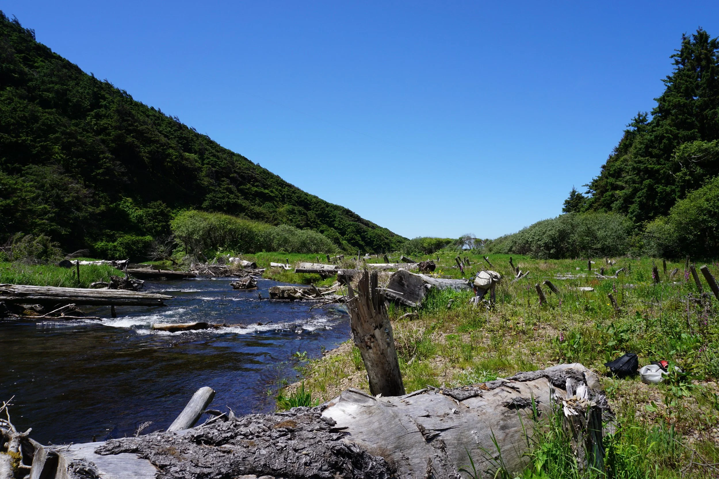 Big Creek Volunteer Day