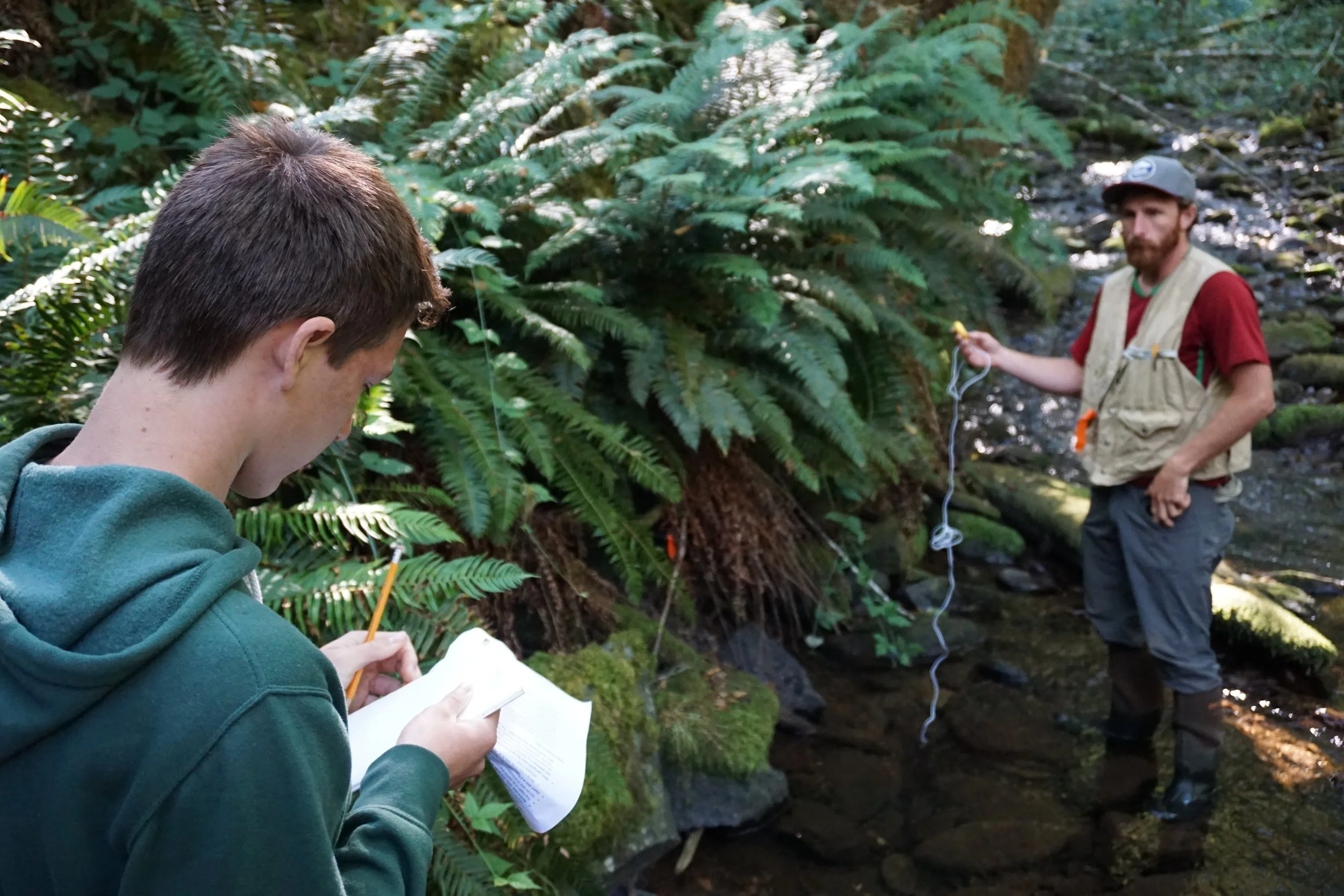 Jobs — MidCoast Watersheds Council