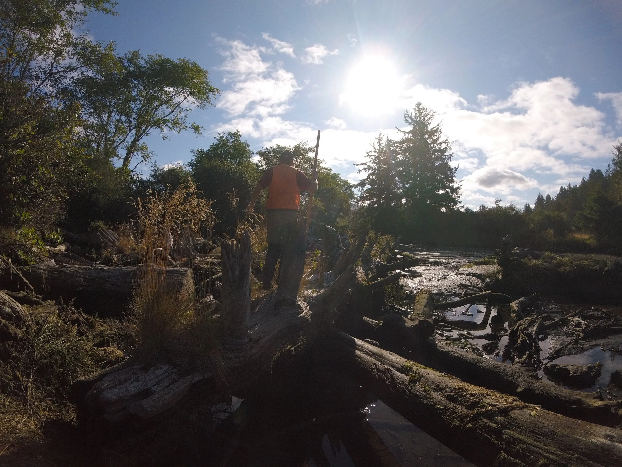 Siletz Bay National Wildlife Refuge: Past and Present