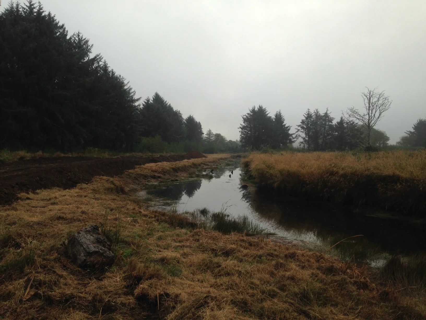 Pixieland/Tamara Quays