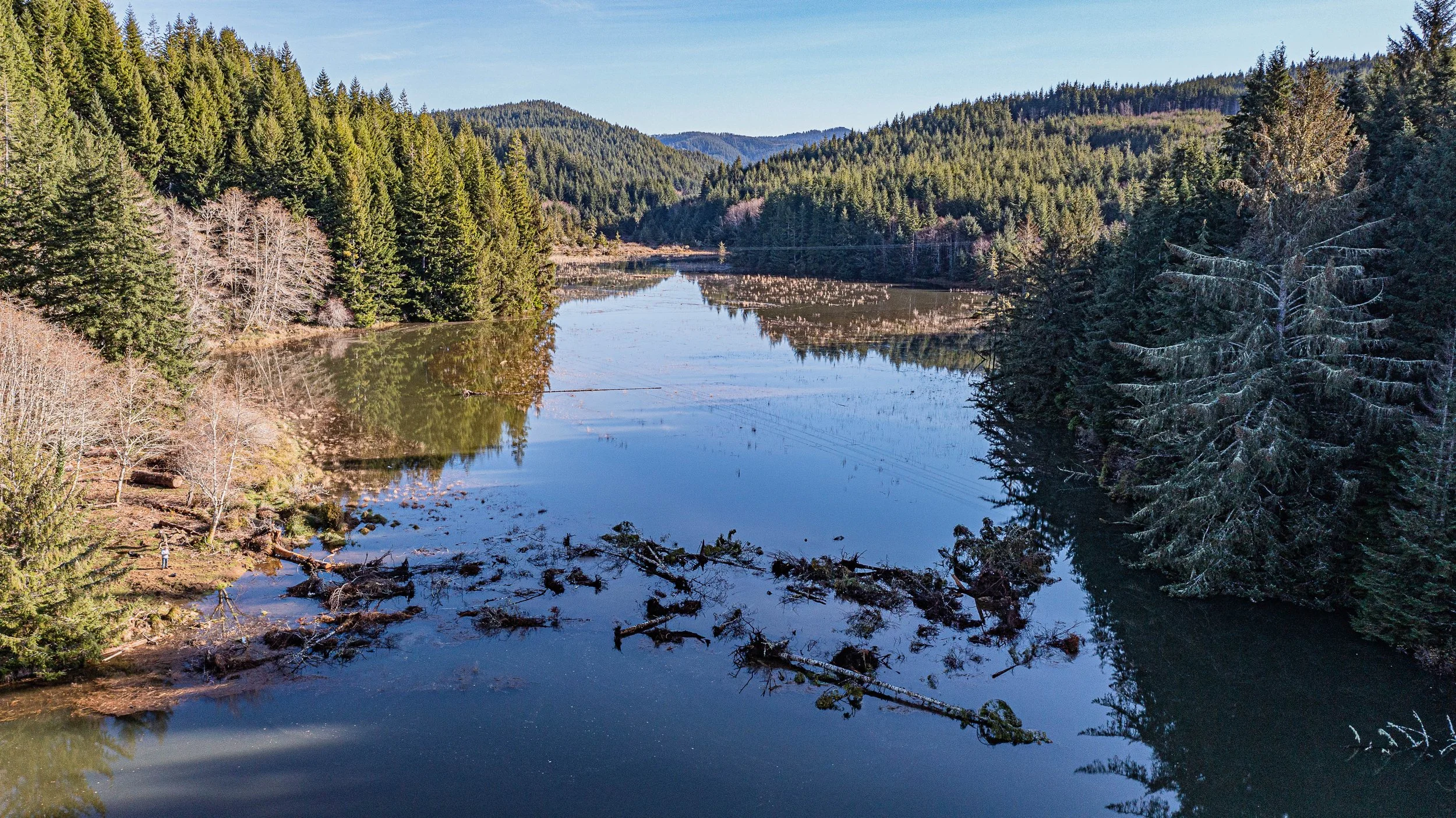 Poole Slough Reconnected Habitat.PeterMCWC.jpg