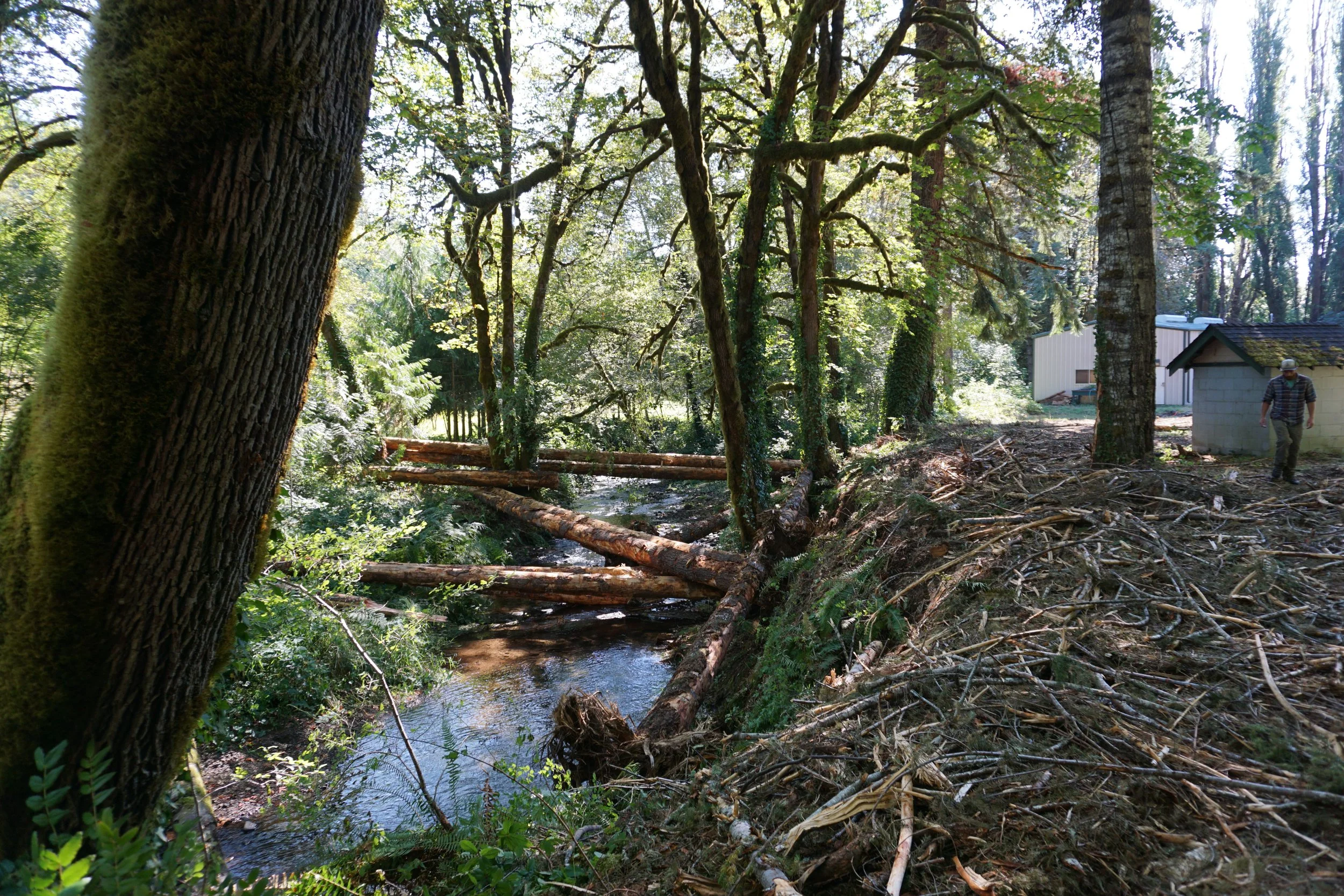 Reconnecting our Floodplains through Aquatic Restoration: A Night for Curious Landowners