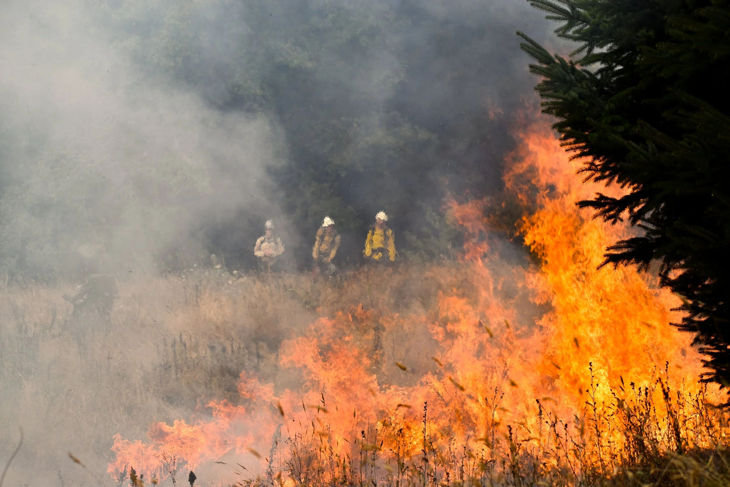 Prescribed Fire on the Oregon Coast: Meadows, Wildlife Habitat Restoration & Management