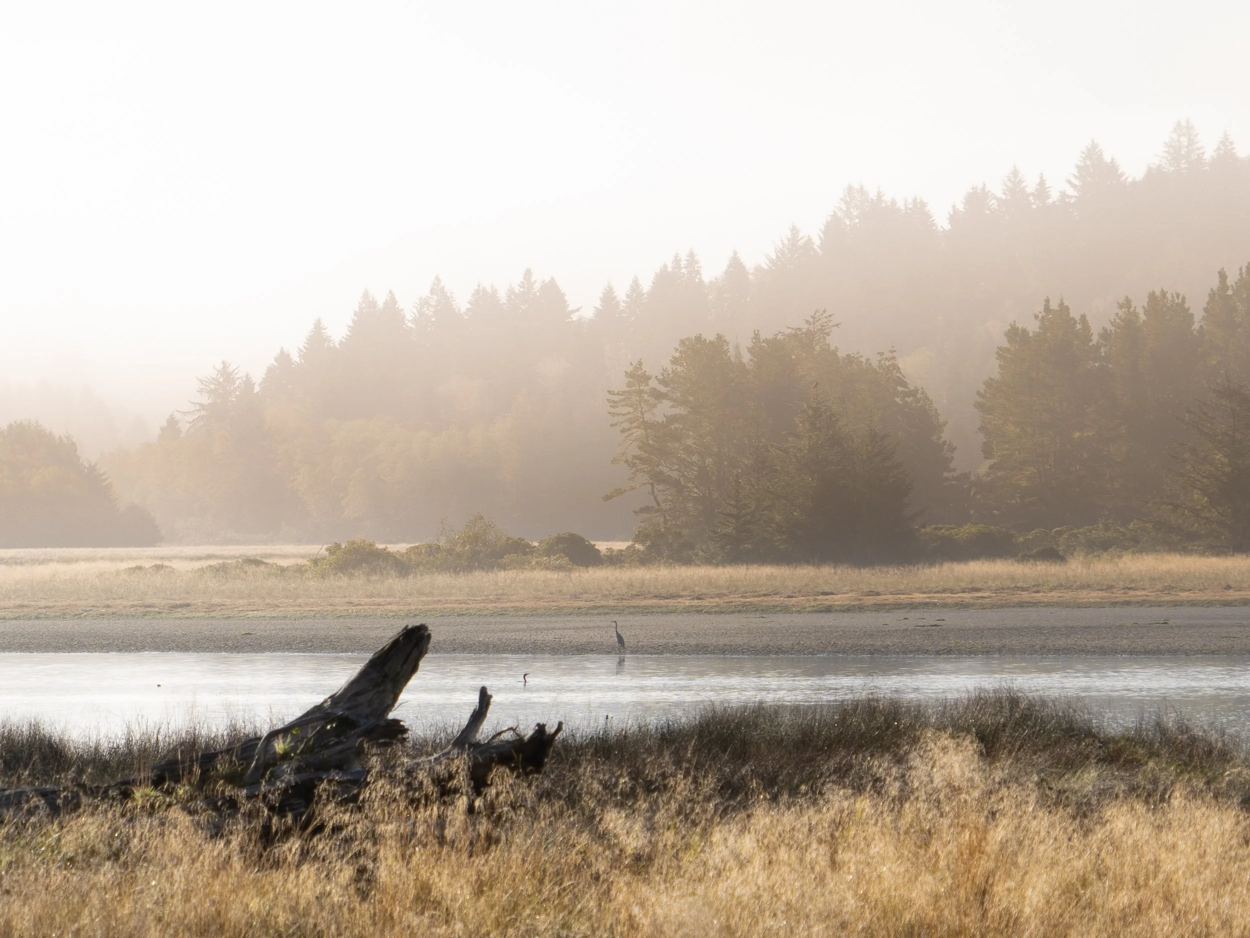 Siletz Watershed Quarterly Meeting