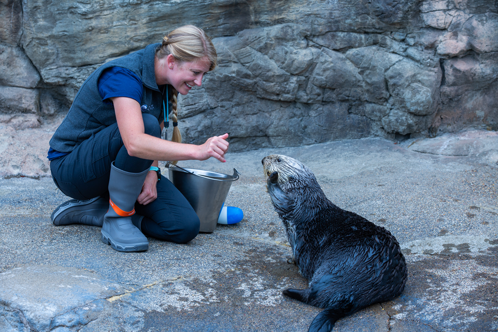 The Care and Conservation of Sea Otters: Heroes of Our Nearshore Ecosystems