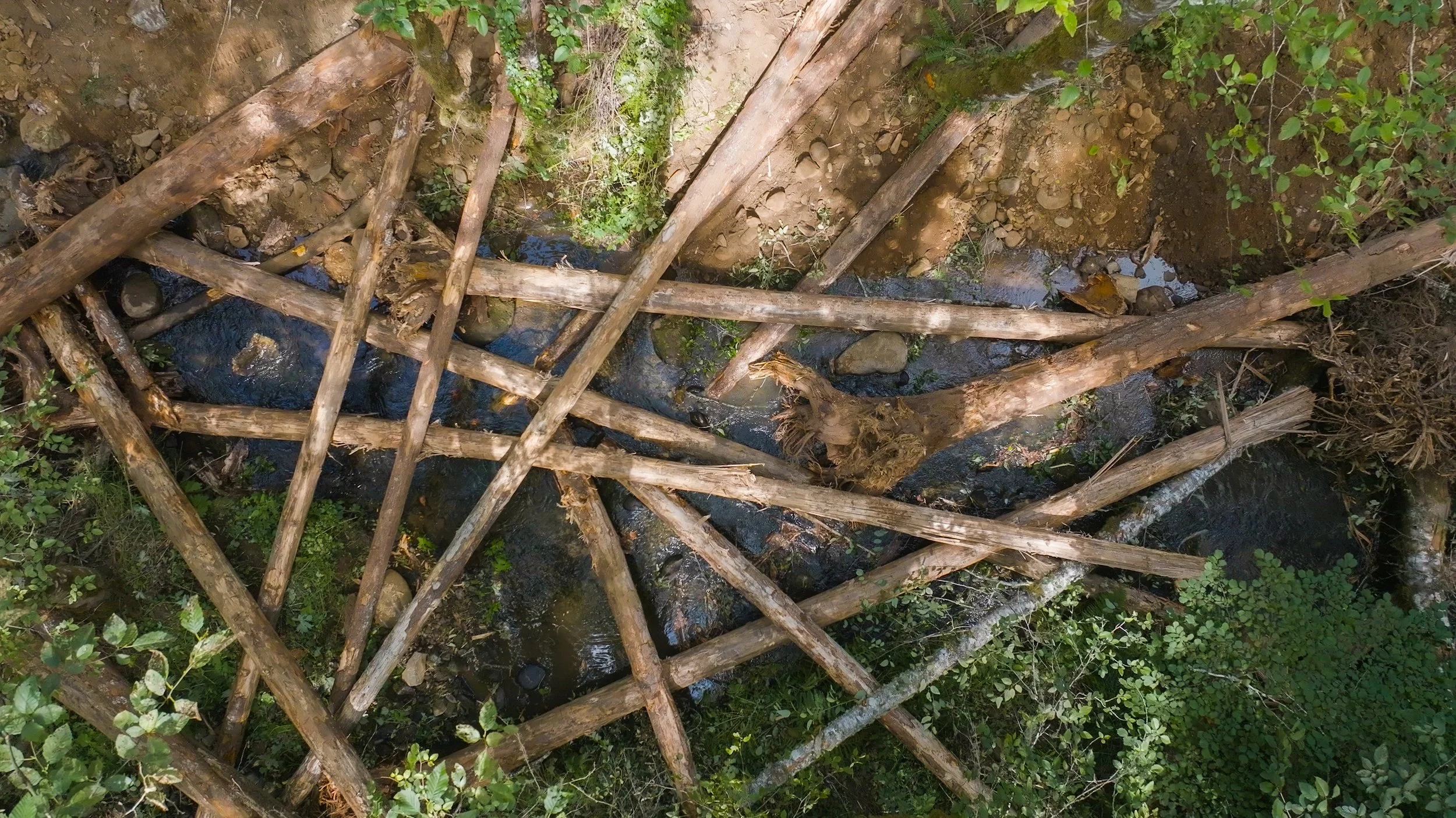 Restoration Field Trip: Mill & Beaty Creeks