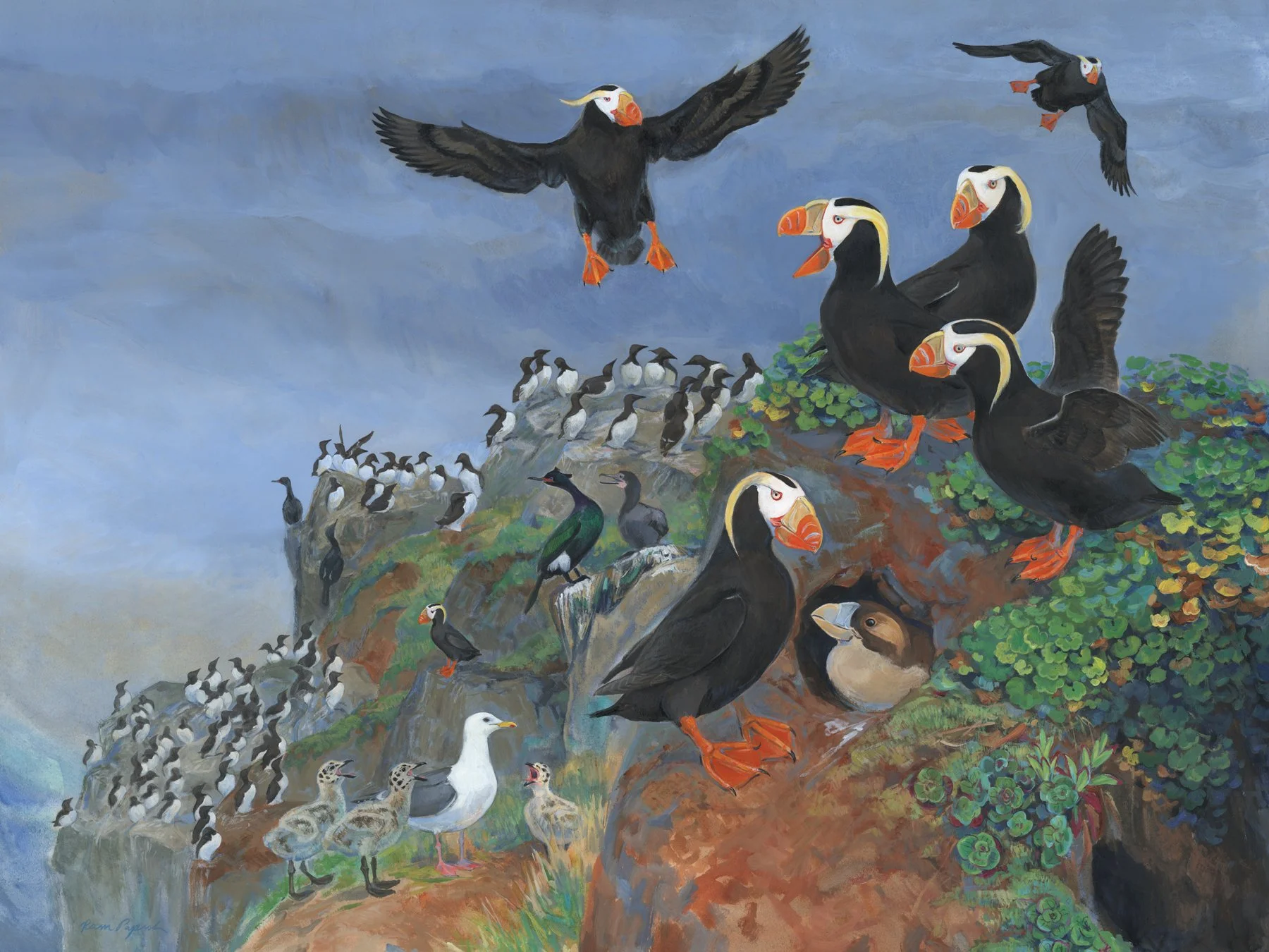 Drawing on Nature: How Art Connects Us to Conservation