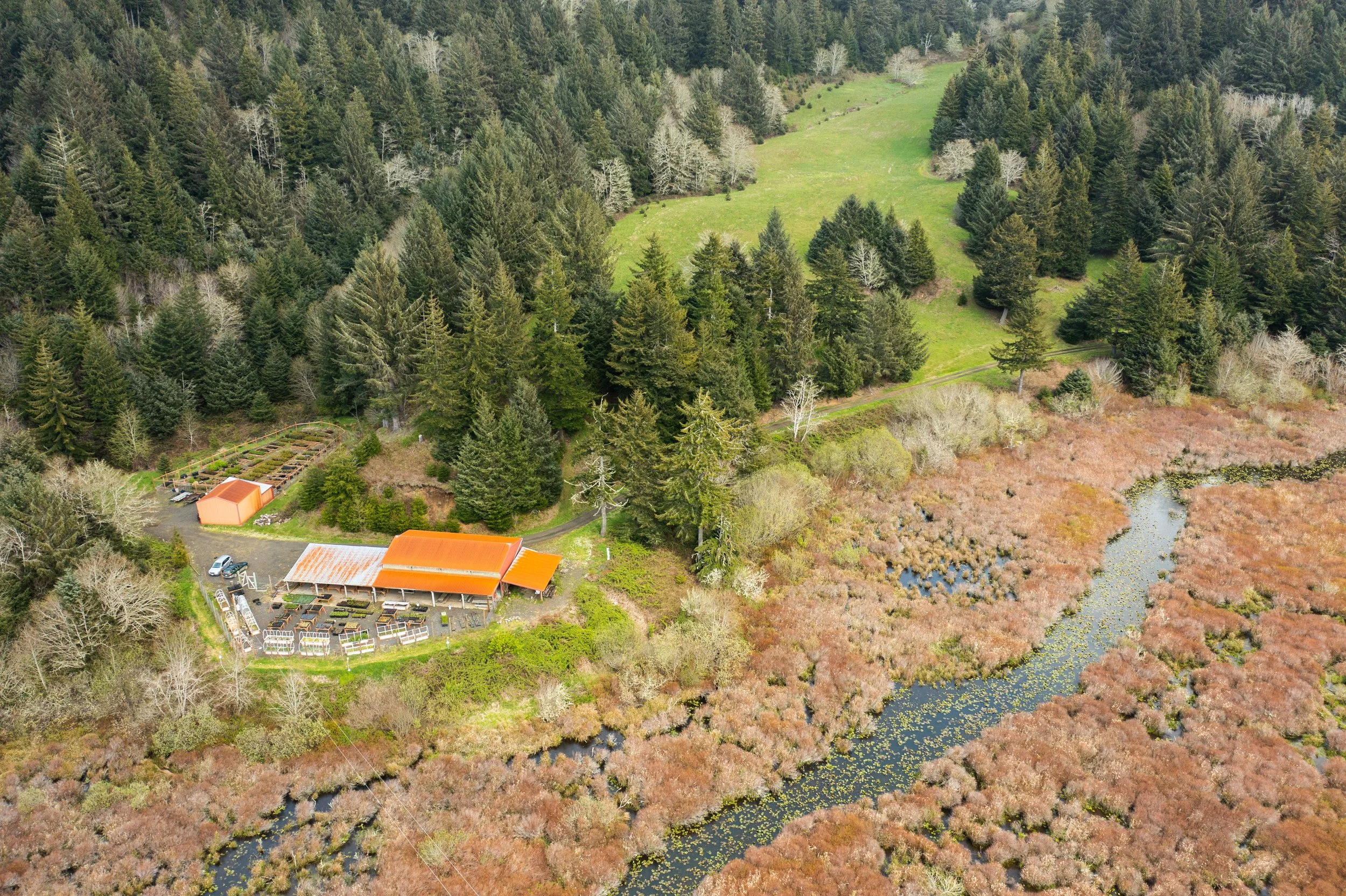 Creekside Conversation: Healthy Streams in the Alsea Basin