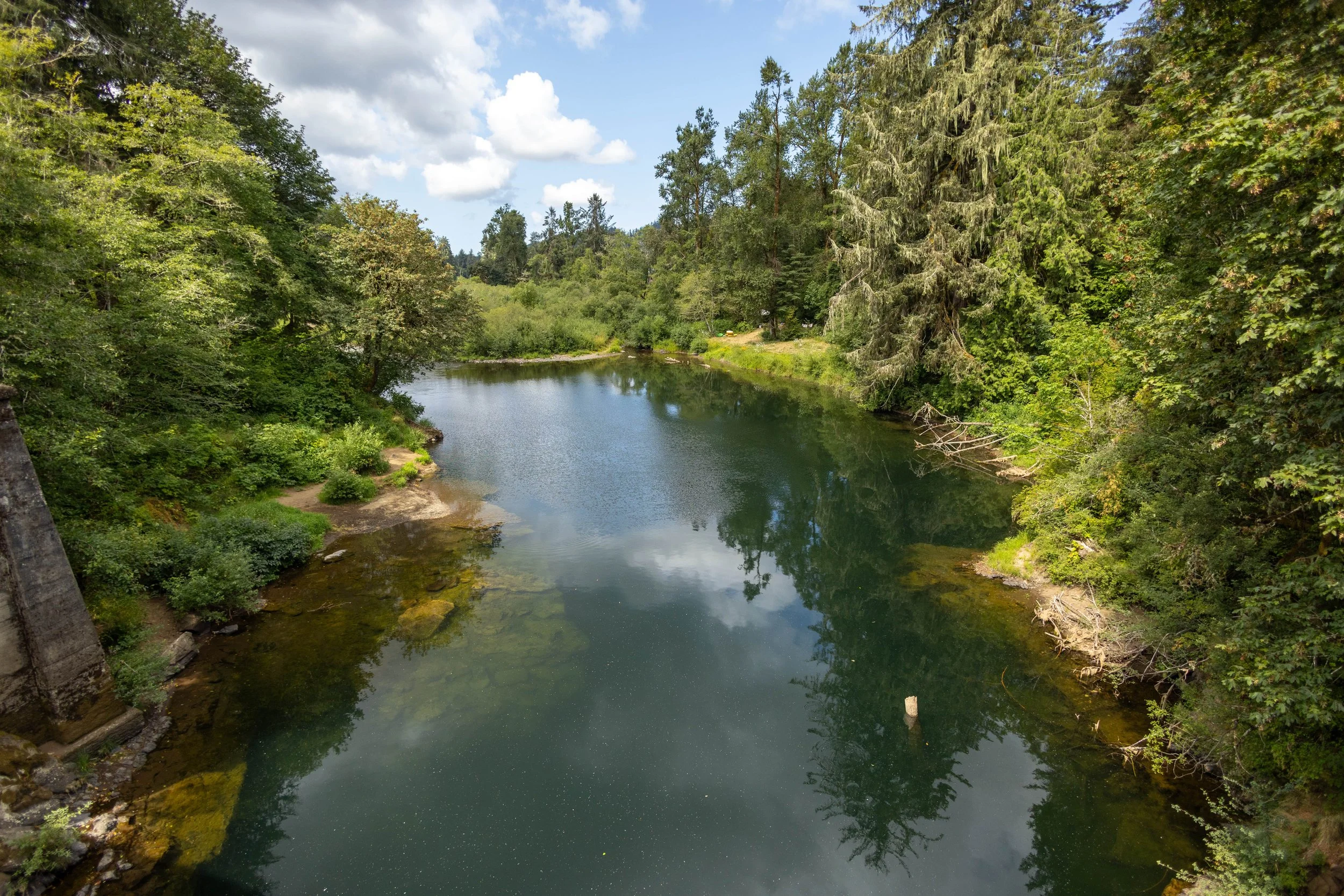 Siletz River Cleanup