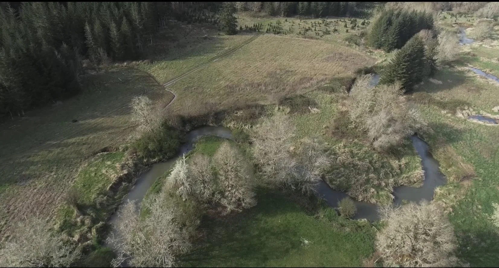 Volunteer Day: Bummer Creek Planting