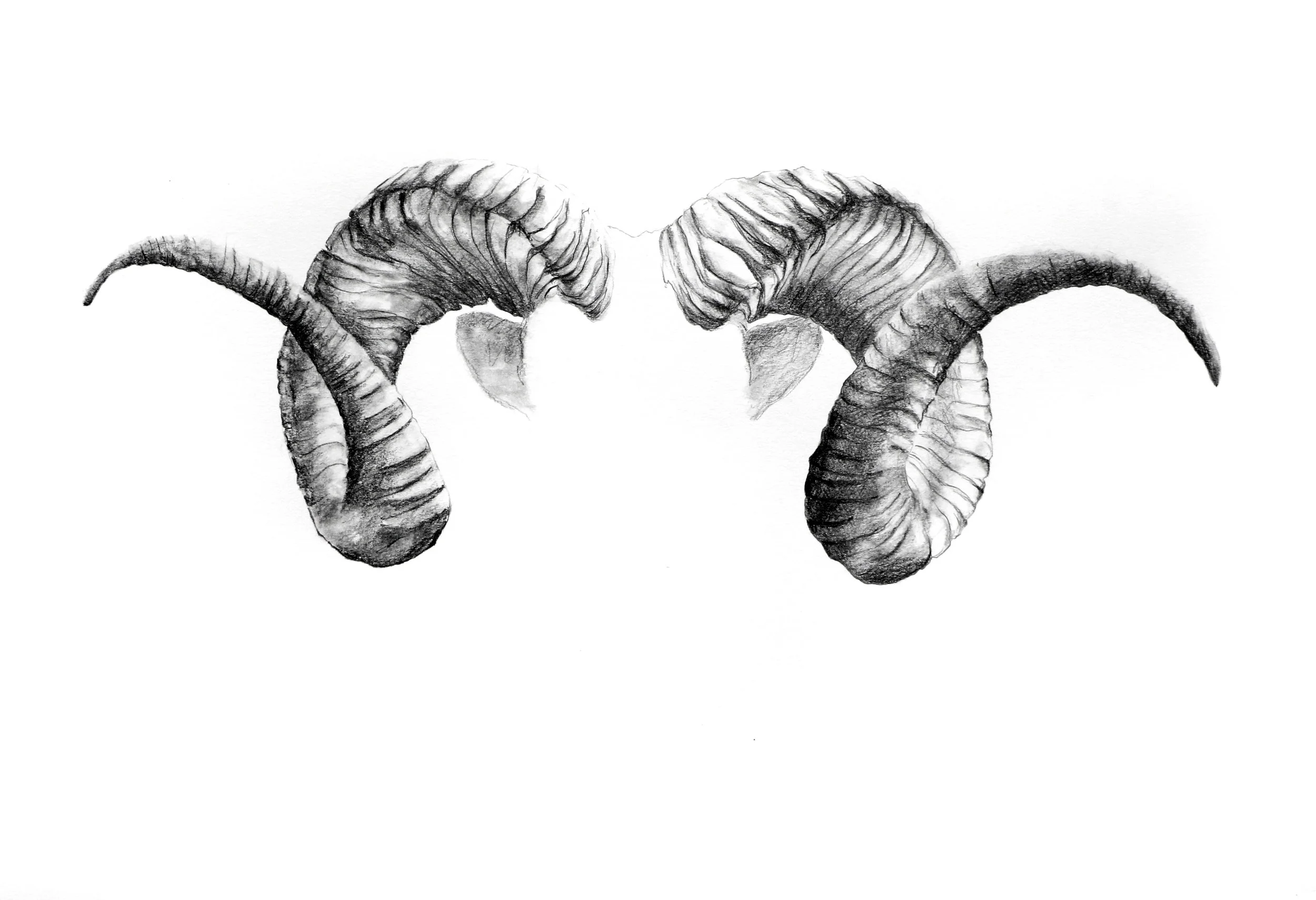 Garnish3.jpg