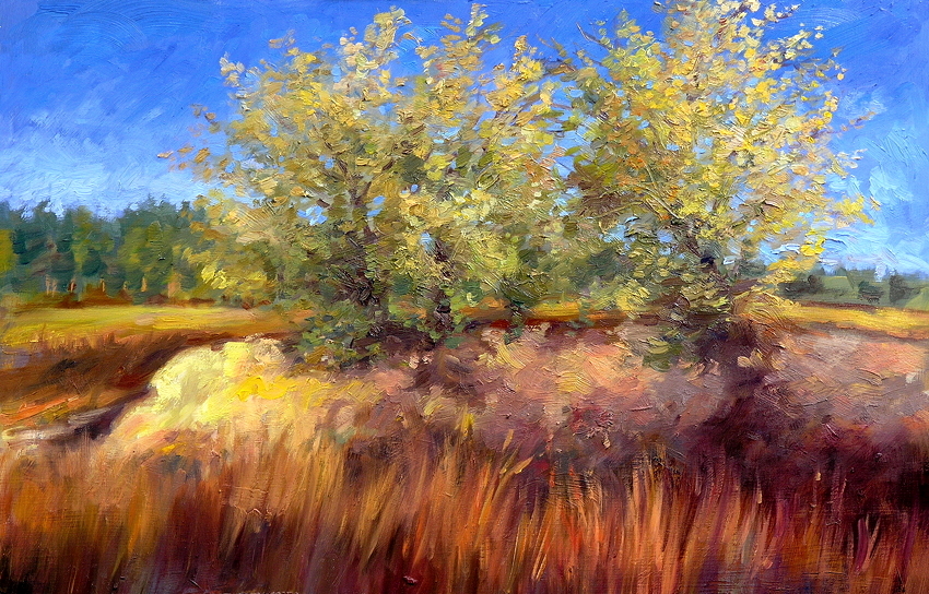 SOLD Russian Olives on Halfbreed Creek