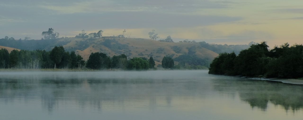 Early morning recce
