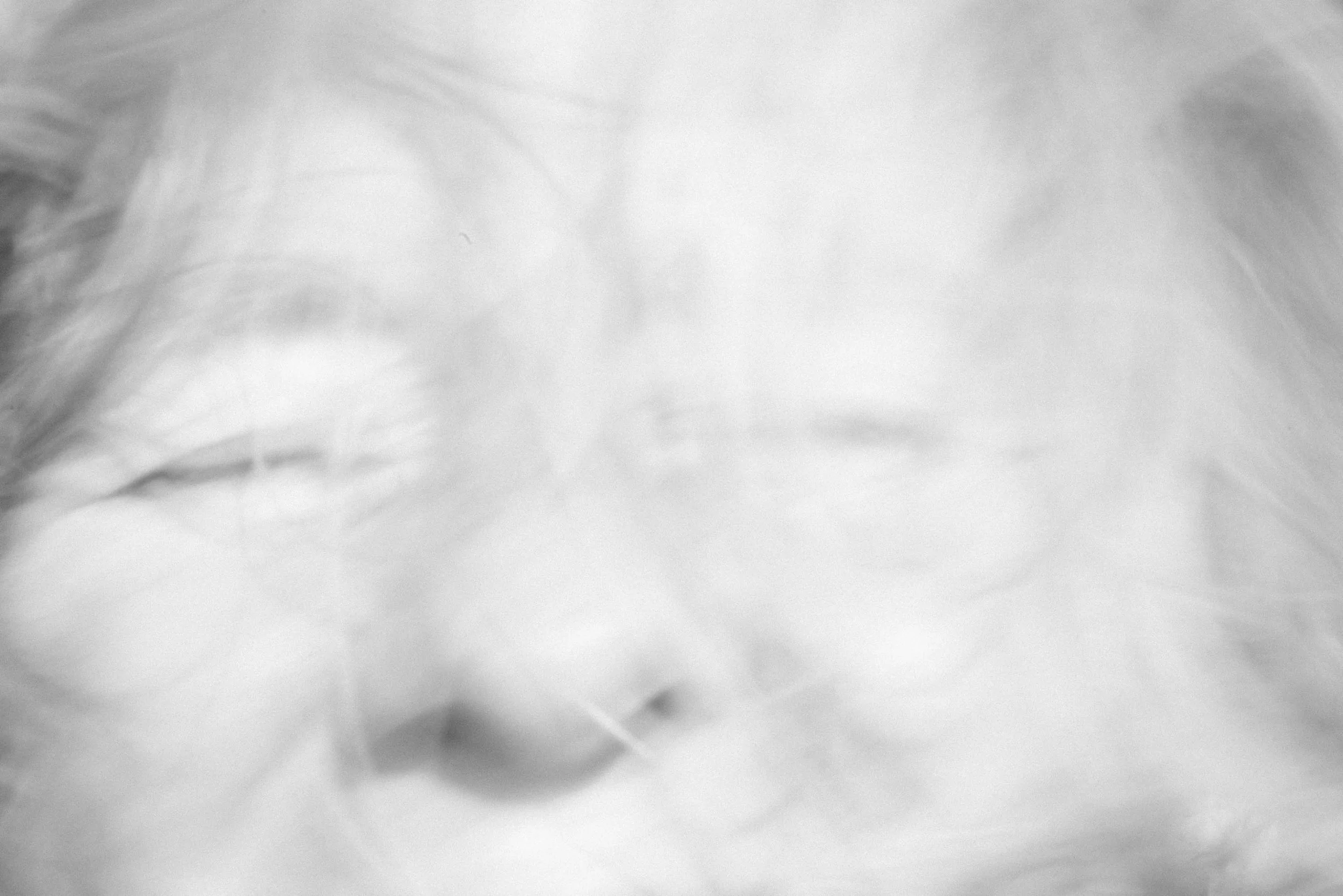 ute-reckhorn-abstract-black-and-white-portrait.jpg