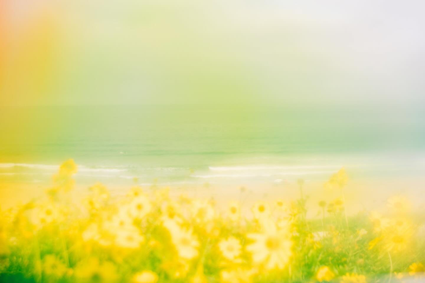 Today&rsquo;s image was inspired by the many great questions I received during my recent webinar about using the Lensbaby Optic Swap System. I loved connecting with photographers from all over the world&mdash;what an inspiring, interactive experience