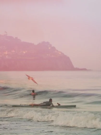 Morning traffic 🌊 🏄🏼&zwj;♀️ 🐦 What&rsquo;s your ride of choice?
