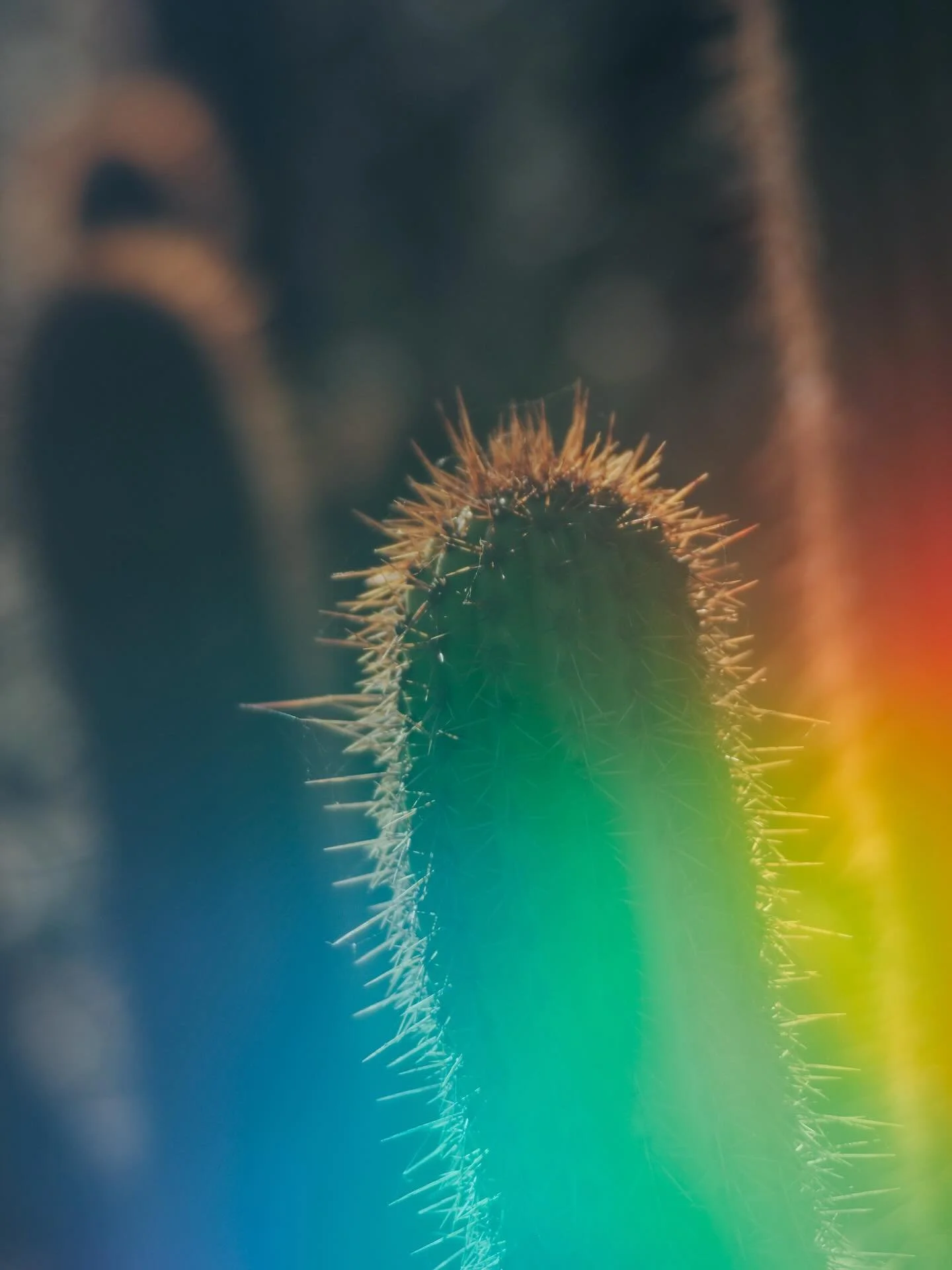 Yesterday, a tiny plastic bag unleashed a creative firework in me &mdash; and it was pure joy to watch ideas spark and evolve. ✨
 I think you can feel that playful energy in these images.

If you&rsquo;re curious about how to spark more creativity in