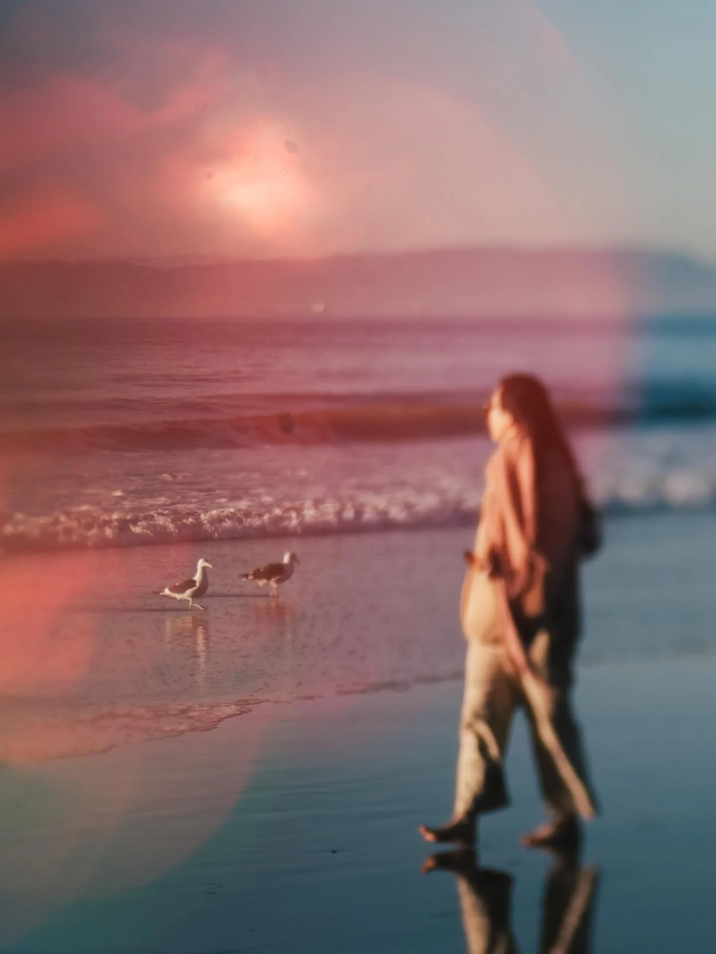 Light has so many personalities, and this week I played with a small piece of foil I found on a morning walk. By holding it just out of frame, I could shape reflections, bring in shimmer, or bend the light into something a little magical. Small exper