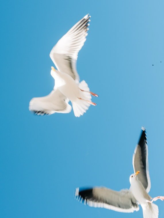 Happy New Year, friends. It feels good to be back. After a quiet December and some time to reset, I&rsquo;m stepping into this year with a mindset of possibility&mdash;less &ldquo;Can I?&rdquo; and more &ldquo;How can I?&rdquo; in both life and photo