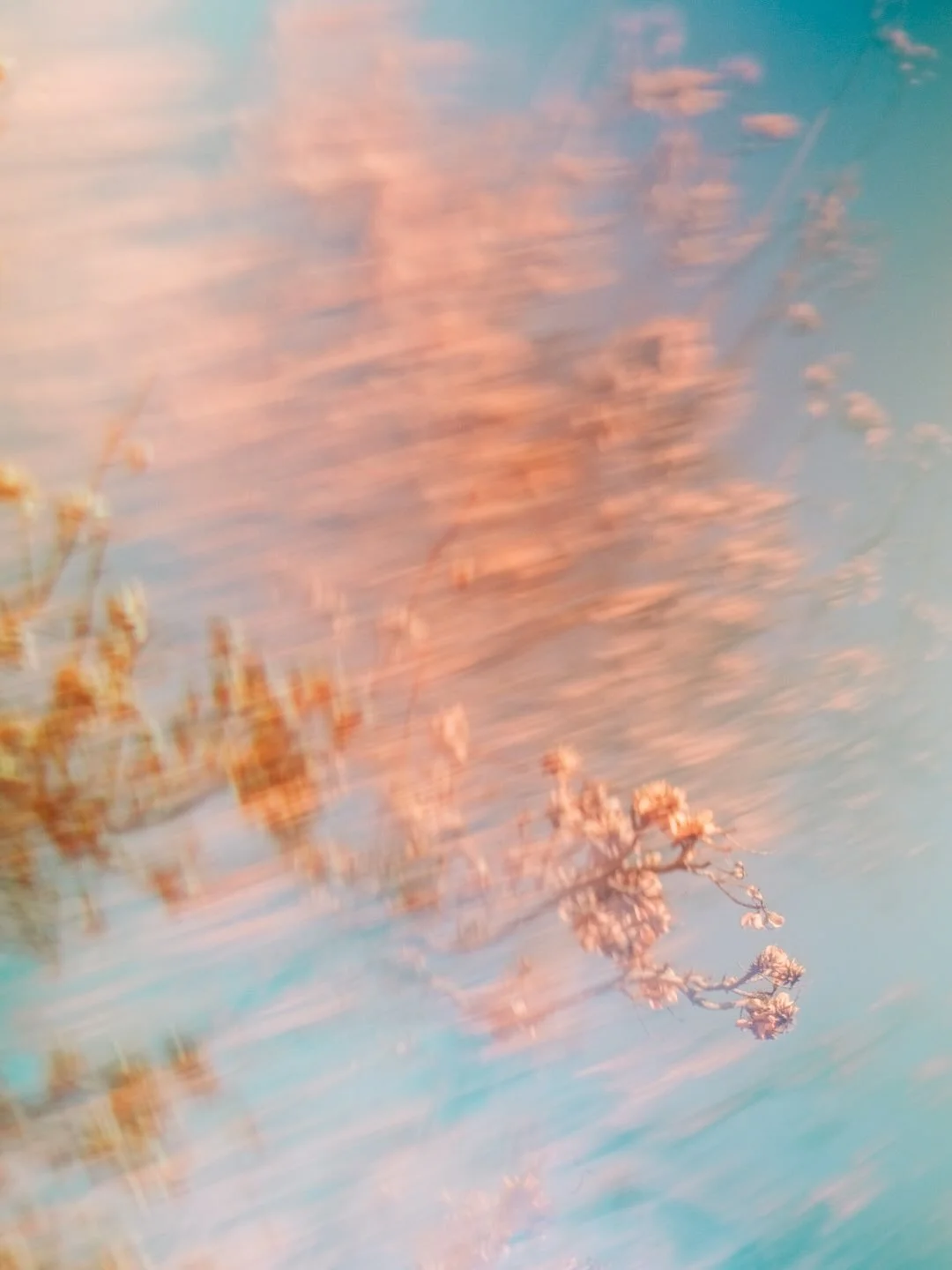 Ending the week with a little creative play, layered light, and fused moments.

We are a group of artists who are experimenting with creating double exposures, fusing, blending and bringing a little magic to our images.⁠ ⁠This is week 2 of my 52 week