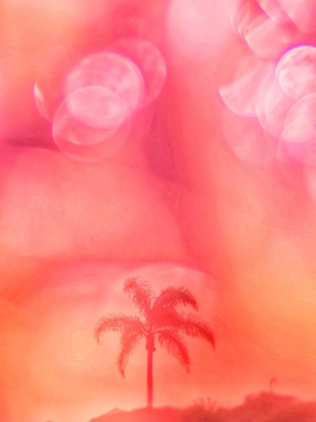 I&rsquo;ve been playing a lot lately &mdash; trying things that won&rsquo;t ever make it to my grid.
And that feels important.
Because growth doesn&rsquo;t happen in the polished moments.

&ldquo;Failure is part of the process itself.&rdquo; -Lily He