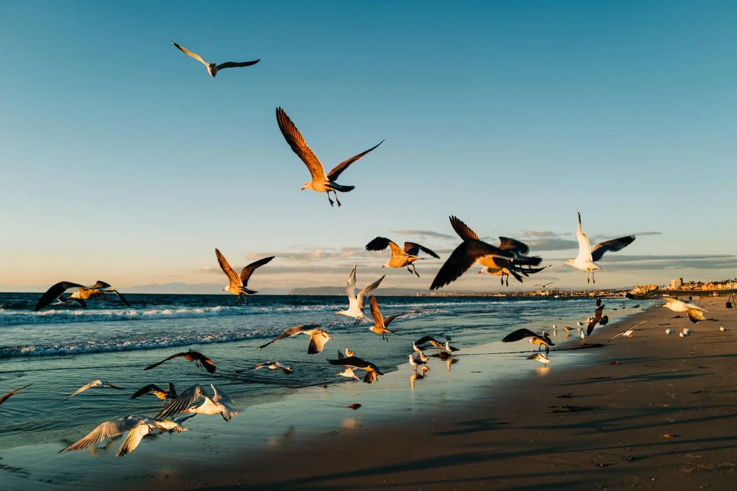 Freedom changes shape as we grow, from chasing birds to chasing dreams.
Both begin with the space to move, imagine, and trust what&rsquo;s ahead.

&ldquo;We need to protect dreamers&rdquo; -Mari Copeny

📸

Our community of @clickprophotographers hav